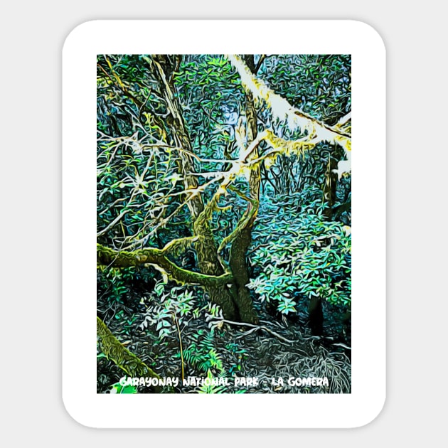 Garayonay National Park La gomera island Sticker by lagomeratravel